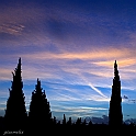 Elmas - (IMG_2555_1)